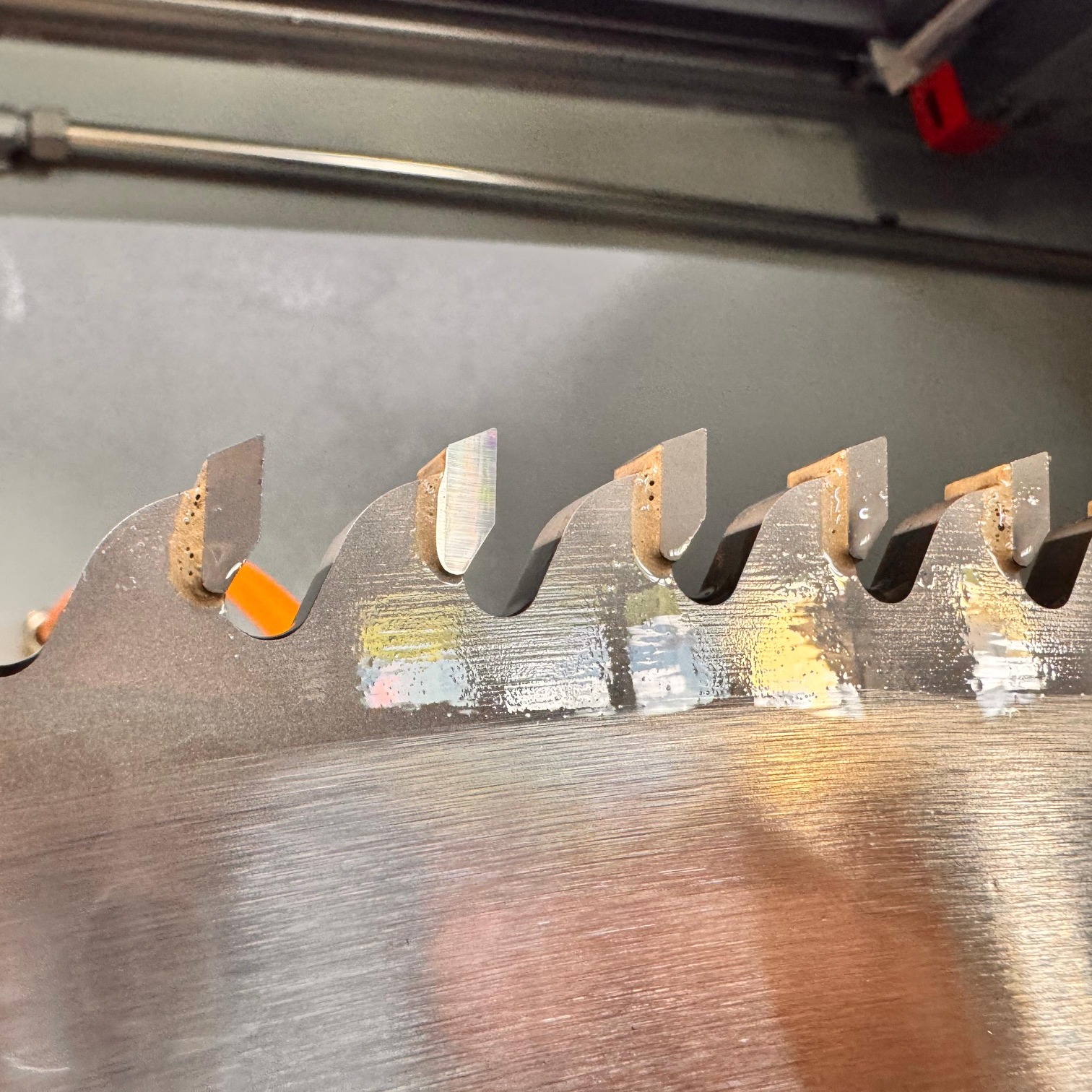 Ausgetauschter und geschliffener Zahn an einem Kreissägeblatt mit 1.000 mm Durchmesser